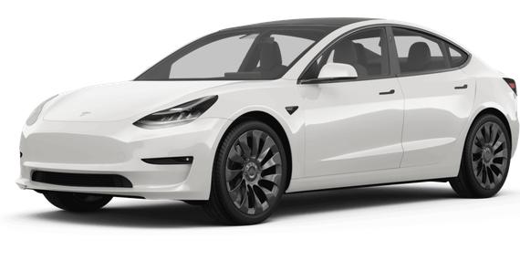 TESLA MODEL 3 2023 5YJ3E1EA6PF651263 image